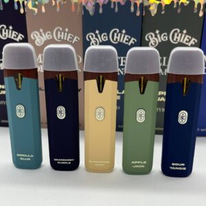 Big Chief Disposable