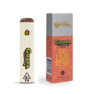 Big Chief Guava Disposable